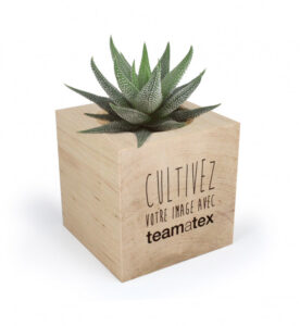 Customised wooden potted plant